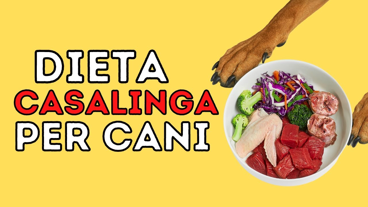 Dieta CASALINGA per CANI: cos'è e quali sono i pro e i contro?