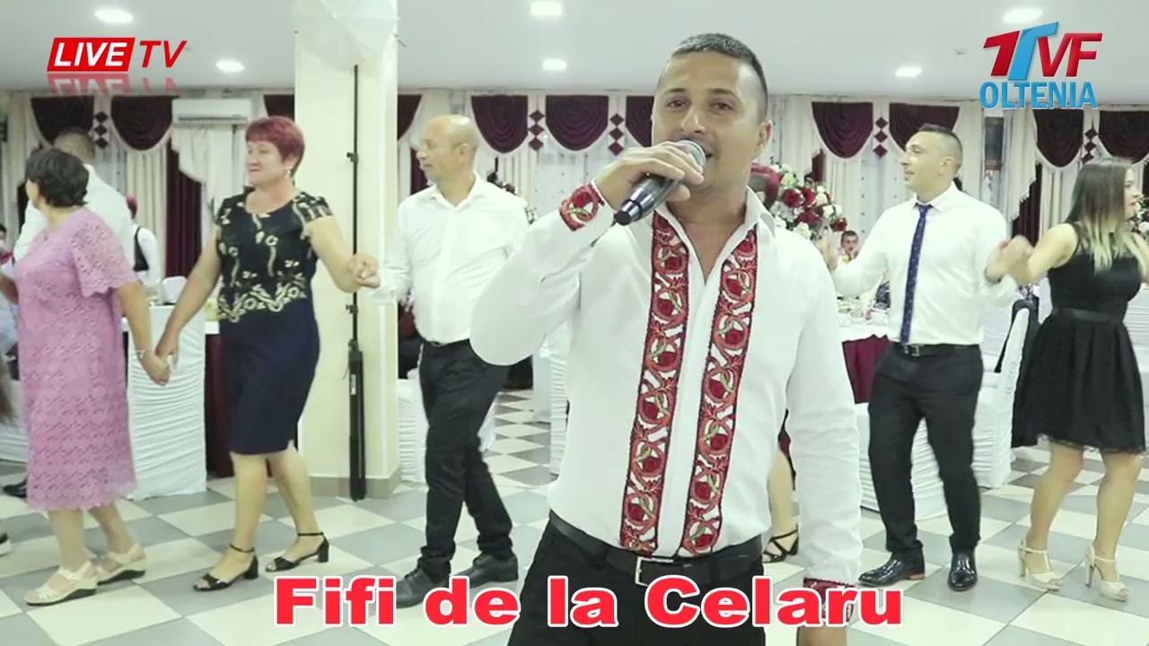Fifi de la Celaru - Frunzulita viorele din toate mandrele mele - Colaj de petrecere - LIVE