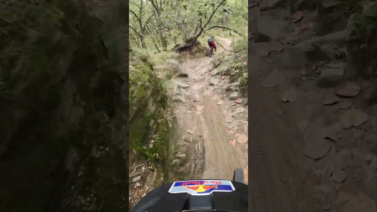 POV MTB mejor clima para rodar !!! || BOSQUE DE LA PRIMAVERA || GDL JALISCO M&Eacute;XICO 🌲🍃#mtb #mexico