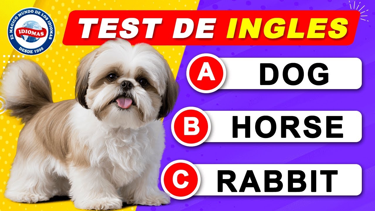 📢 TEST DE INGLES 03, 👉 Desafío de 100 palabras en INGLES vol. 03.