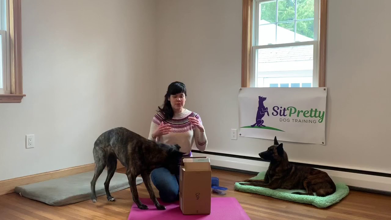 Enrichment Game: Stuffed Box