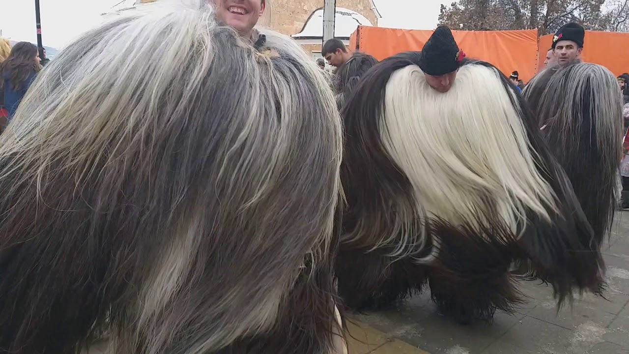 Krupnik Surva 2019