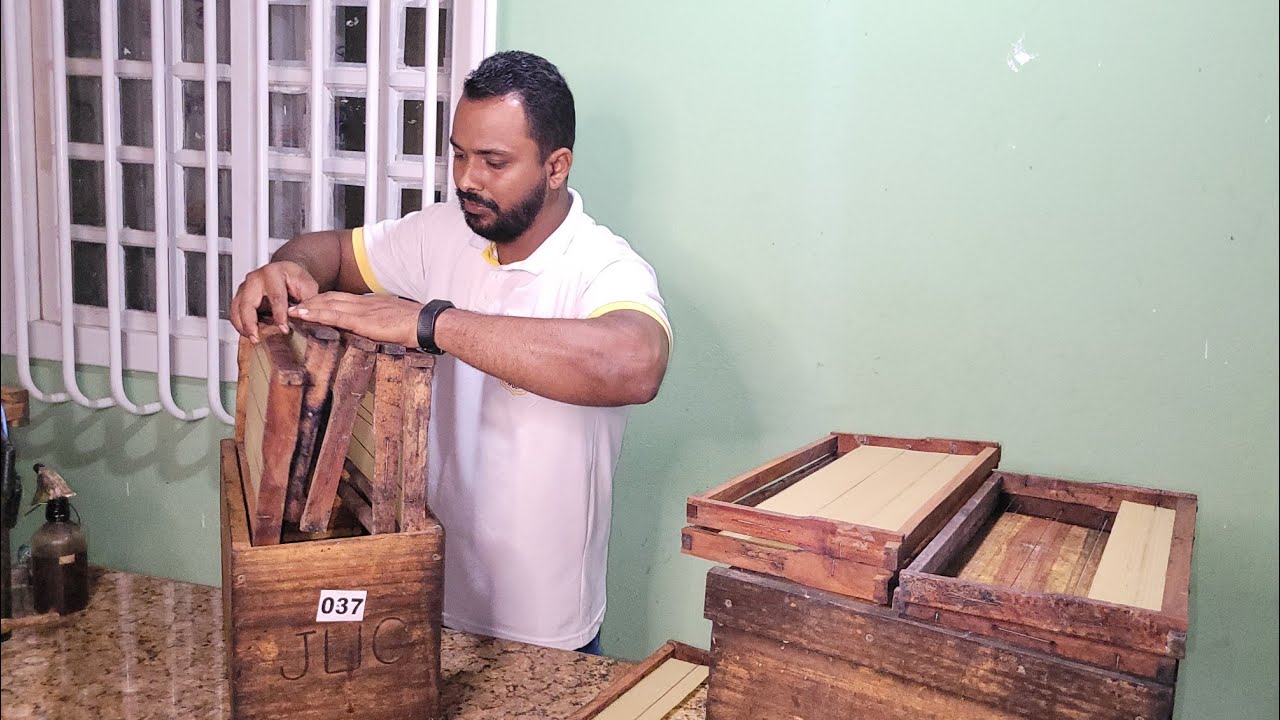 Como capturar seu PRIMEIRO ENXAME/ Caixa isca iniciantes 🐝🙏