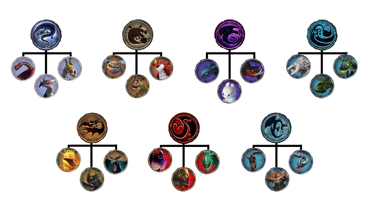 All Classes in How To Train Your Dragon Explained