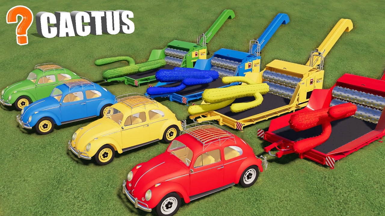 Car Of Colors! CACTUS Farm! WOOD CHIPS MAKING from COLORED CACTUS! FS19
