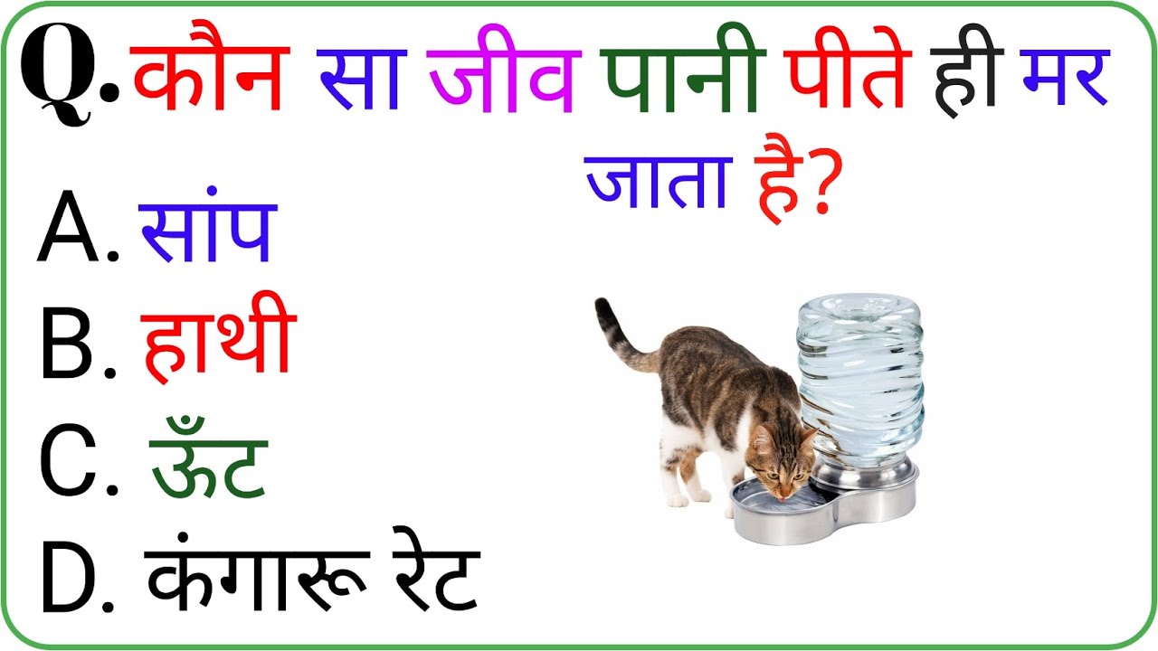 Gk Question || In Hindi || Gk Question And Answer || Gk Quiz || Gk Ke Sawal || General Knowledge