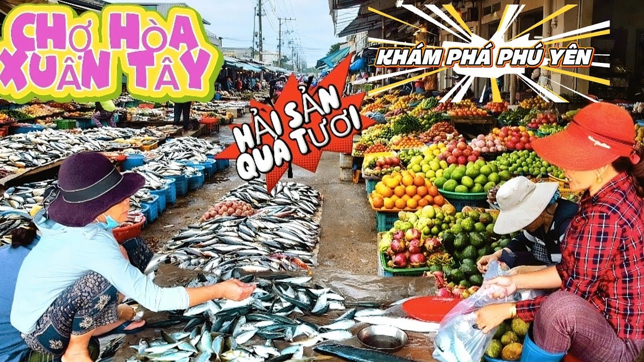 Đi Chợ Cá Hòa Xuân Tây Phú Yên | Hải Sản Tươi Tràn Ngập Từ Sáng Sớm