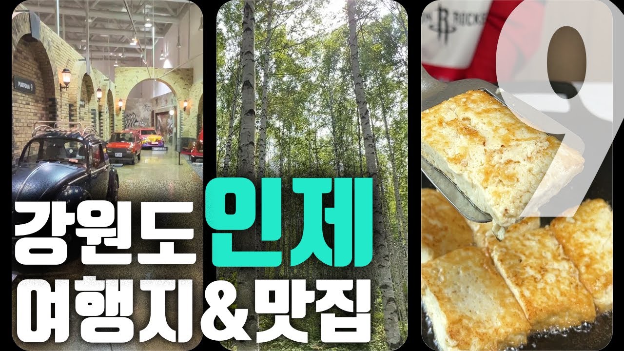 강원도 인제의 먹고 가볼만한 곳 9곳 ! 소개합니다.  [대.모.땅 NAJA ep.강원도 인제]