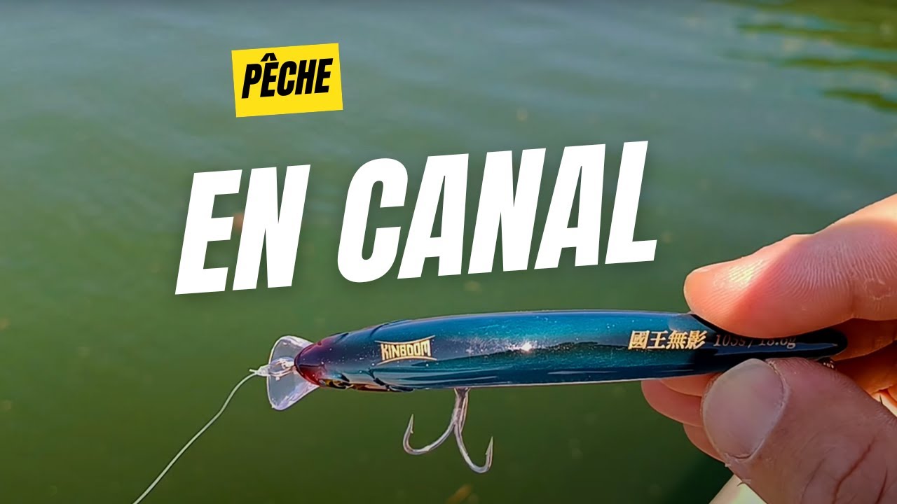 Session Pêche au Leurres et Appats #pêche #fishing #surfcasting