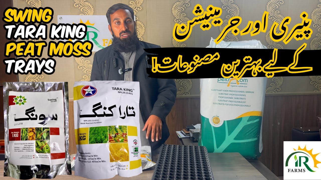 Peatmoss & Trays Guide | Swing & Tara King Use | Nursery Tips | Fasal Ki Behtareen Paidawar Ka Raaz