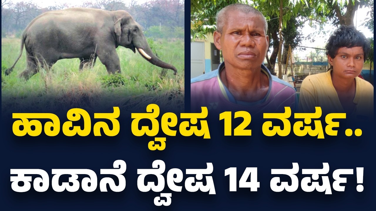 Nepal Elephant Incident : ಹಾವಿನ ದ್ವೇಷ 12 ವರ್ಷ..  ಕಾಡಾನೆ ದ್ವೇಷ 14 ವರ್ಷ! | @newsfirstspecial