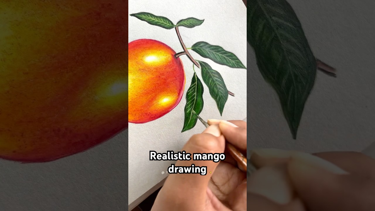 Tutorial: How to draw realistic Mango🥭 #Shorts #Trending