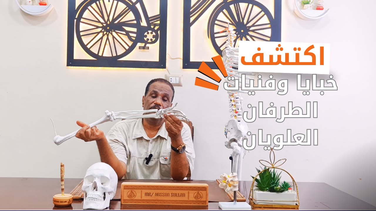 اكتشف خبايا وفنيات الطرف العلوي 💥