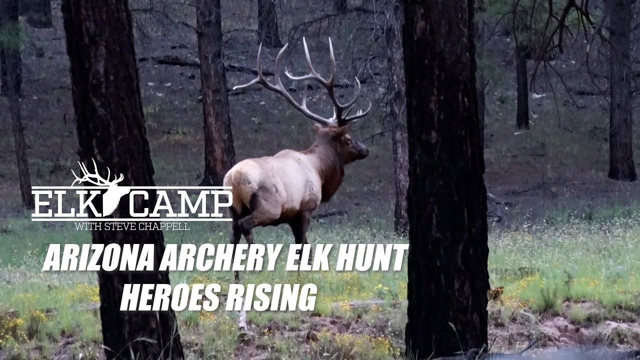 ELK CAMP TV- Heroes Rising Elk Hunt- Arizona Archery  Elk Hunt