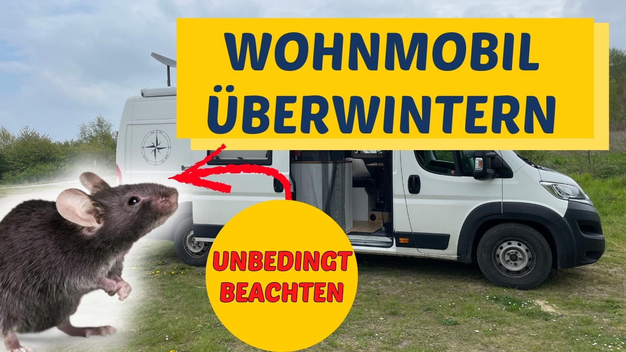 Wohnmobil überwintern: Das MUSST du beachten – sonst hast du schnell Mäuse im Van!