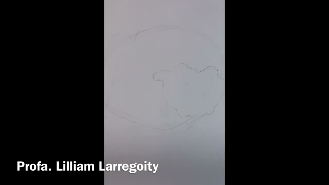 Dibujo- Formas Org&aacute;nicas