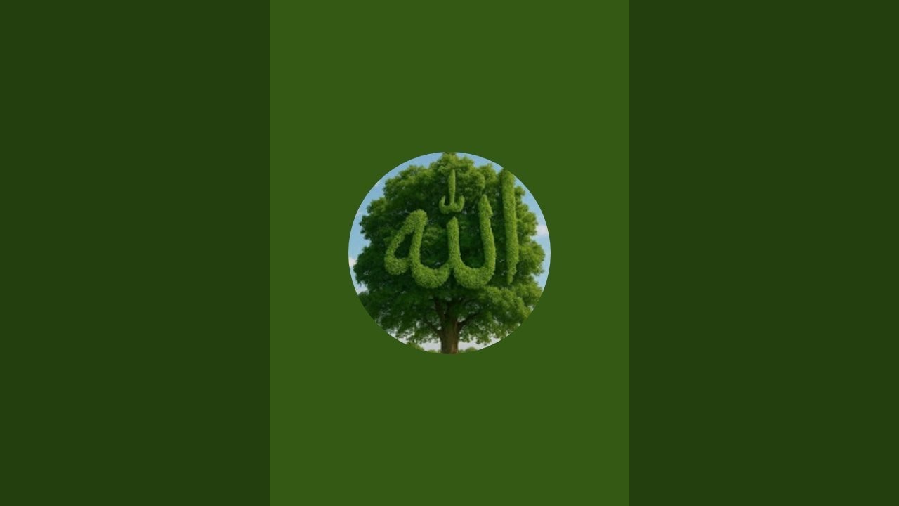 بدأت قناة 