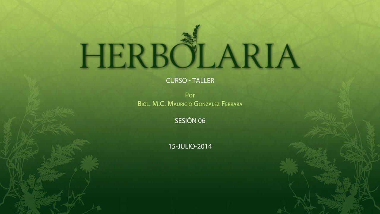 Curso de Herbolaria: Plantas Medicinales y Usos Tradicionales | Bi&oacute;logo Mauricio Gonz&aacute;lez #6