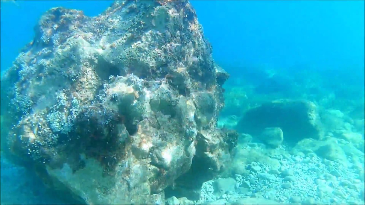 Ivan Dolac, nurkowanie wzdłuż brzegu, wyspa Hvar, Chorwacja, Adriatyk, Croatia.