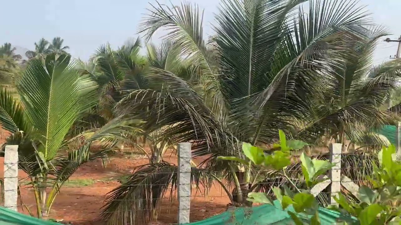 10.20ACRES LAND SALE MALVALI NEAR 22KM BANGLORE 122KM MYSORE 67KM PRICE 1GUNT 5LACK 9902421145