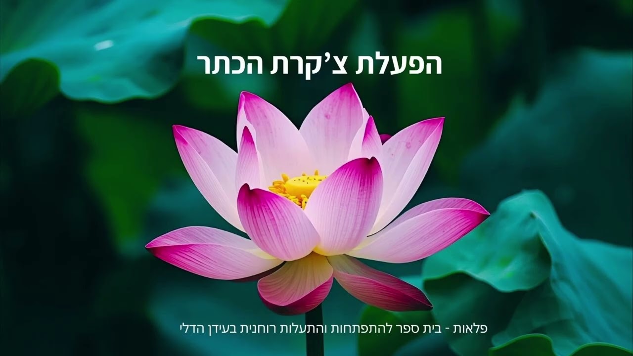 הפעלת צ'קרת הכתר - יום ניקוי אנרגטי קהילתי מס. 7