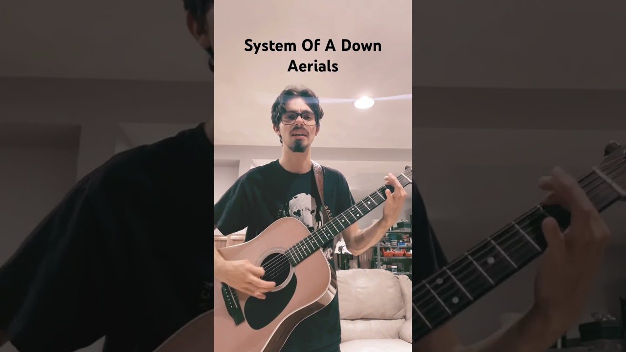 System Of A Down - Aerials Cover Acoustic