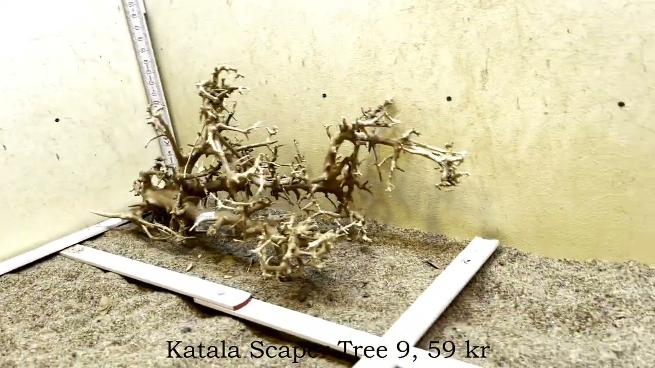 WYSIWYG - Nye Katala Scaper Tree rødder på webshoppen