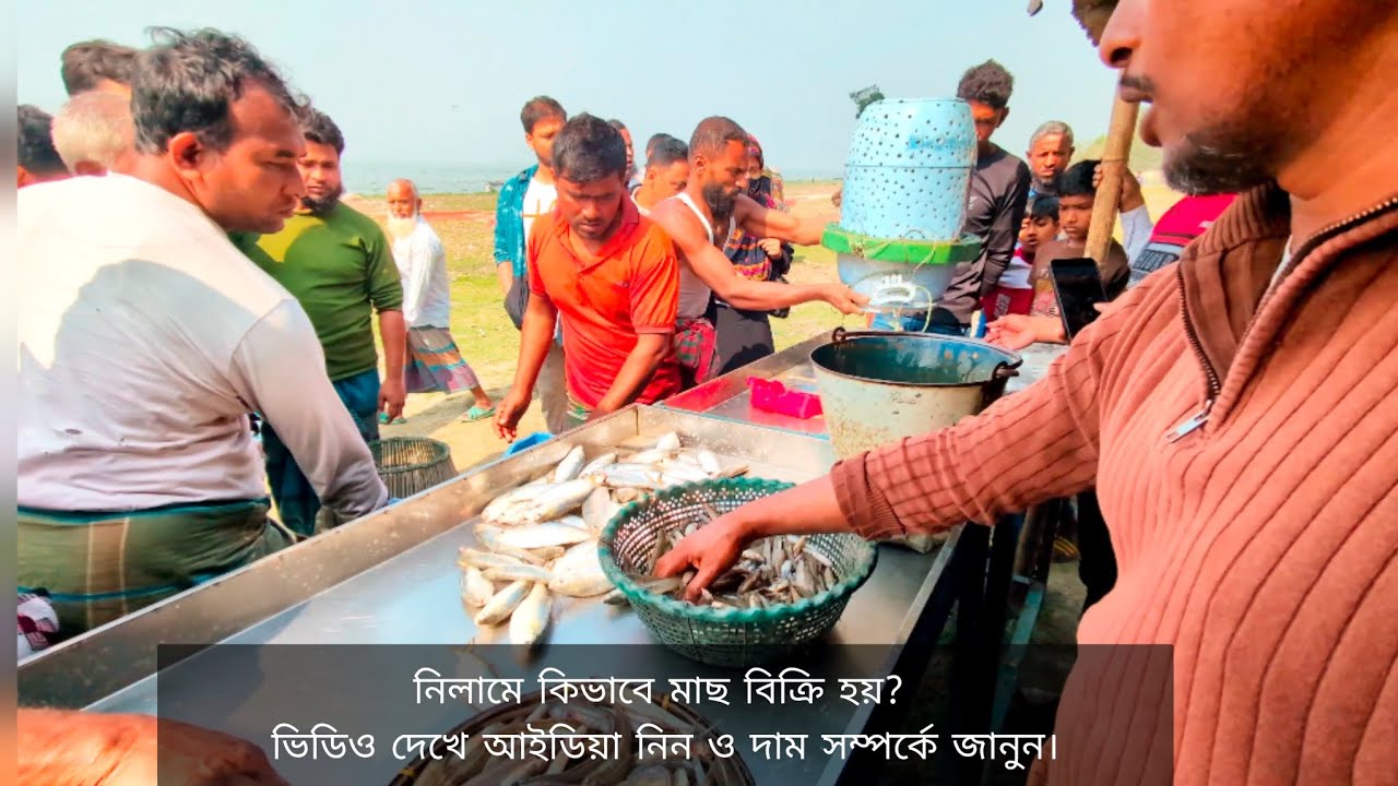 দেখুন লালপুর বাজারে কিভাবে যাবেন ও ডাকের মাধ্যমে মাছ কিনবেন!Lalpur fish Auction 2026 | #Popular_fish