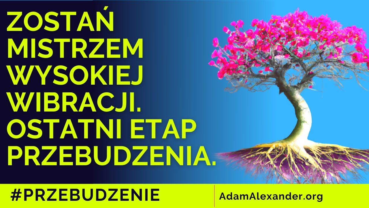 Zostań mistrzem swojej wibracji. | Adam Alexander