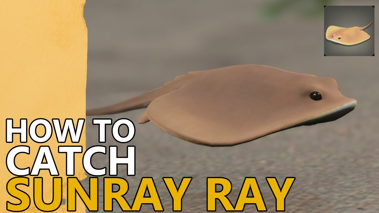 How to catch the Sunray Ray Minion in FFXIV