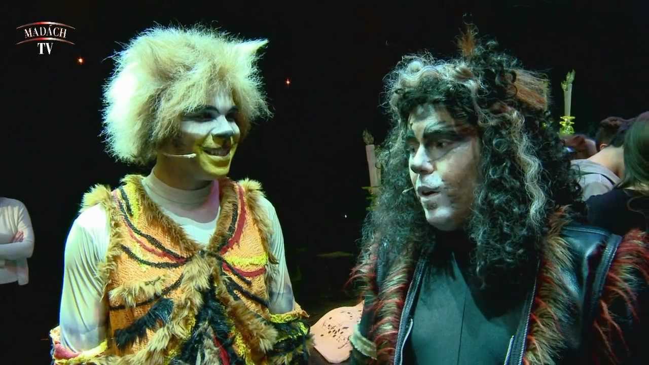 Macskák 30 - szülinapos vendégeink