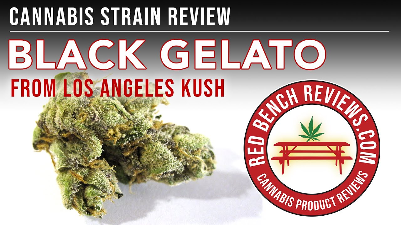 Los Angeles Kush  | Black Gelato Strain Review | 23.37% THC!