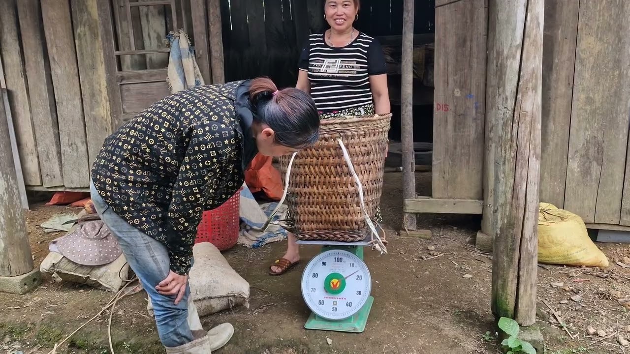 Húng Thị Bình _I will go find goods to sell and buy chickens to grow vegetables