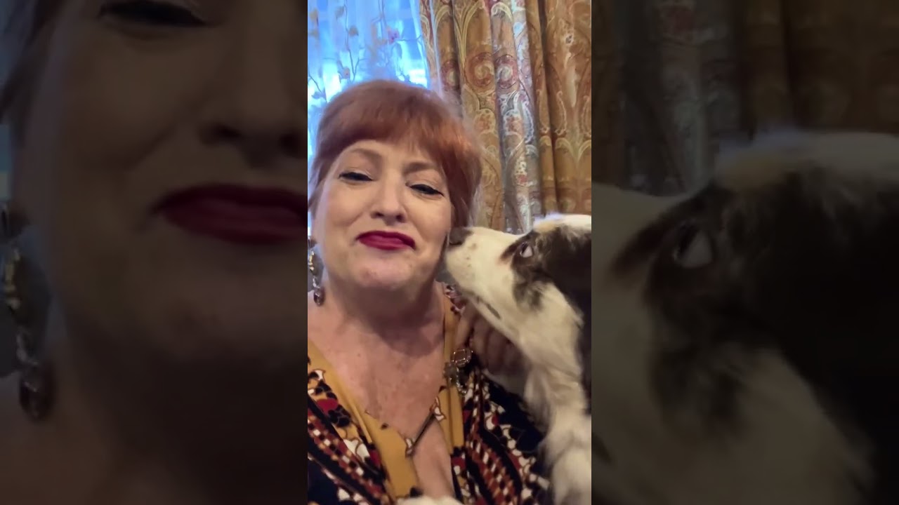 Date After Divorce At 59 or Stick With My Dogs ? 