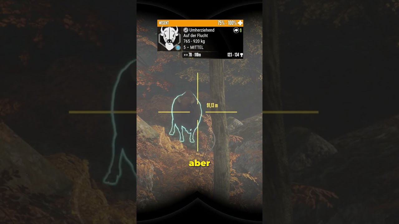Riesiges DIAMANT Wisent auf Hirschfelden.. 🦬🤯