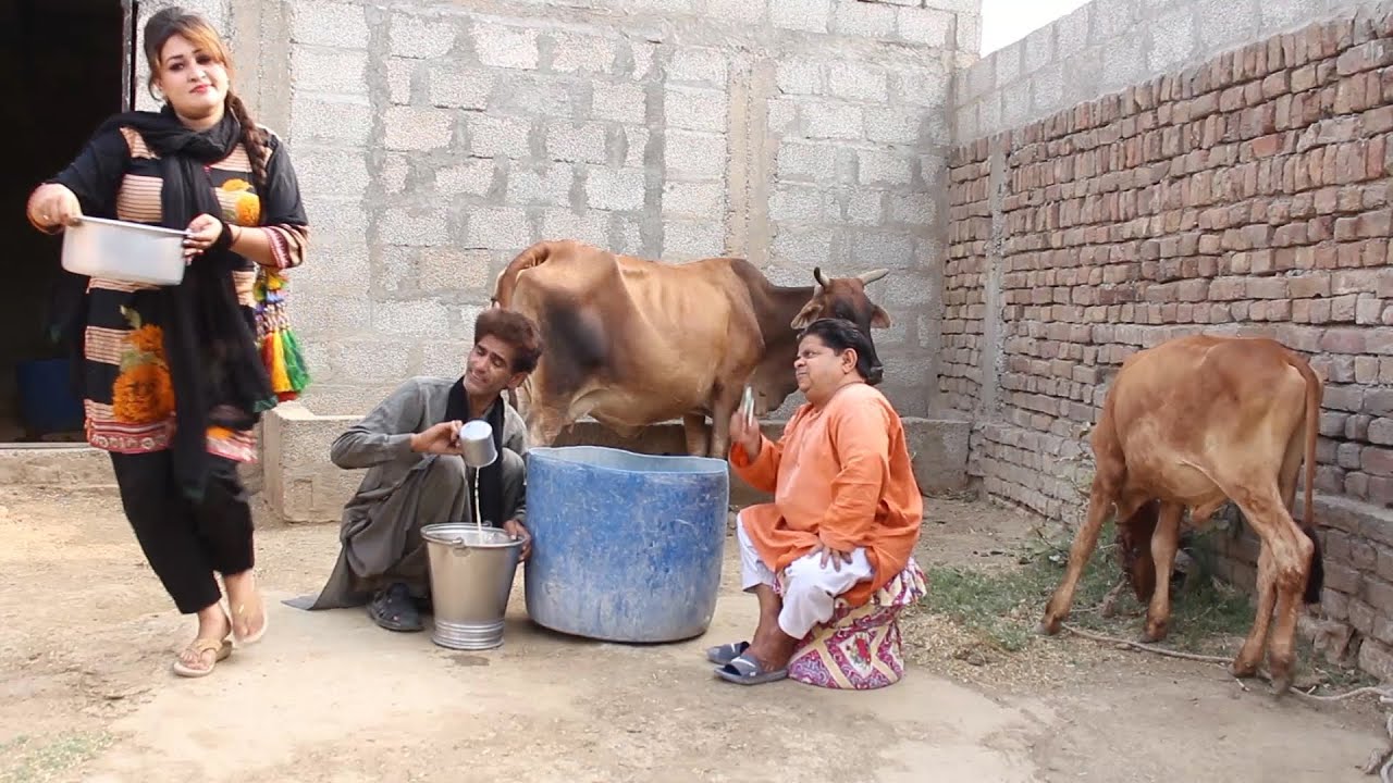 Wapari / Dood Ka Karobar / Full Comedy Pakistani Pothwari Drama By Shahzada ghaffar Pothwar Plus
