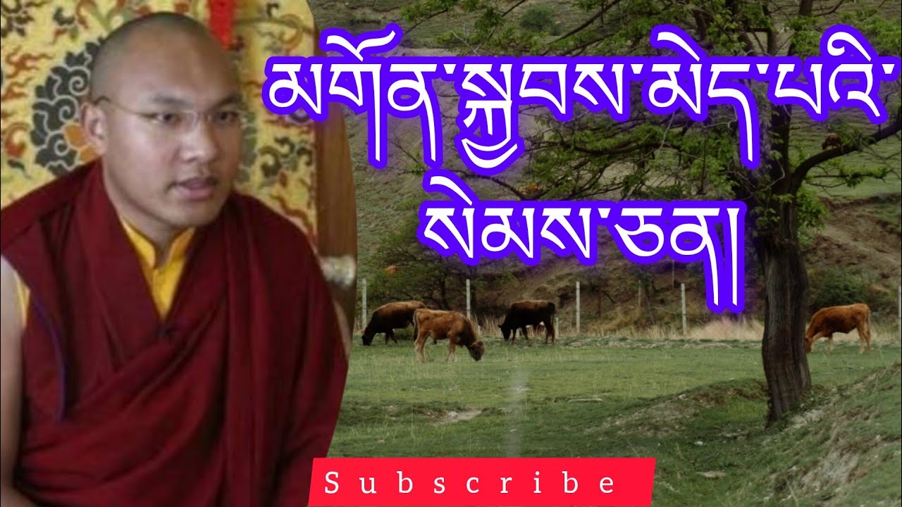 མགོན་སྐྱབས་མེད་པའི་སེམས་ཅན། helpless beings @buddhistG 
