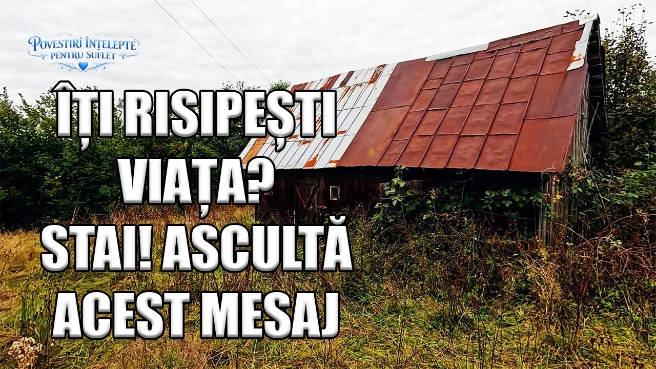 Ceea ce înțelegem doar în ultima clipă a vieții. O pildă care îți schimbă modul de a gândi.