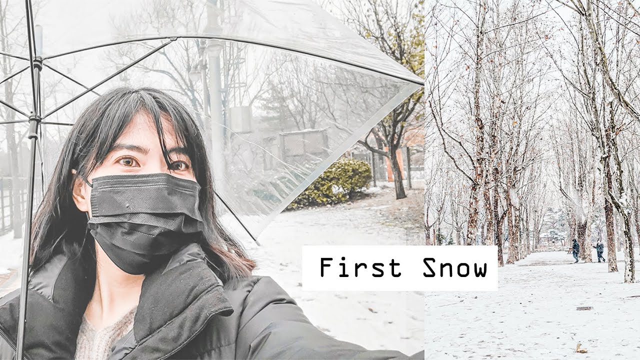 FIRST SNOW in Seoul - Winter 2020! Main Salju di Boramae Park⛄