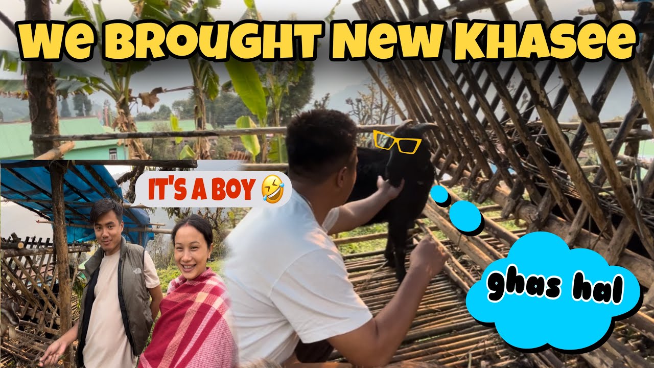 Hame ne khasee ko malik aba 😅 // Kush  ko Comedy next level