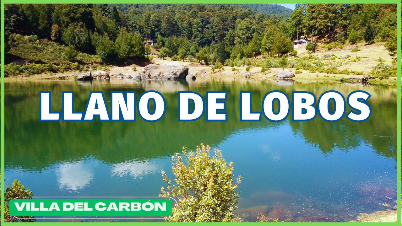 LLANO DE LOBOS 🐺 Villa del Carbón | Camping y Cabañas en el Bosque 🏕