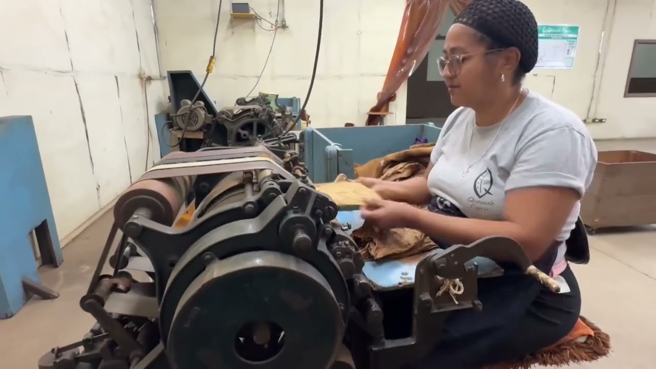 Dominican Tobacco Industry