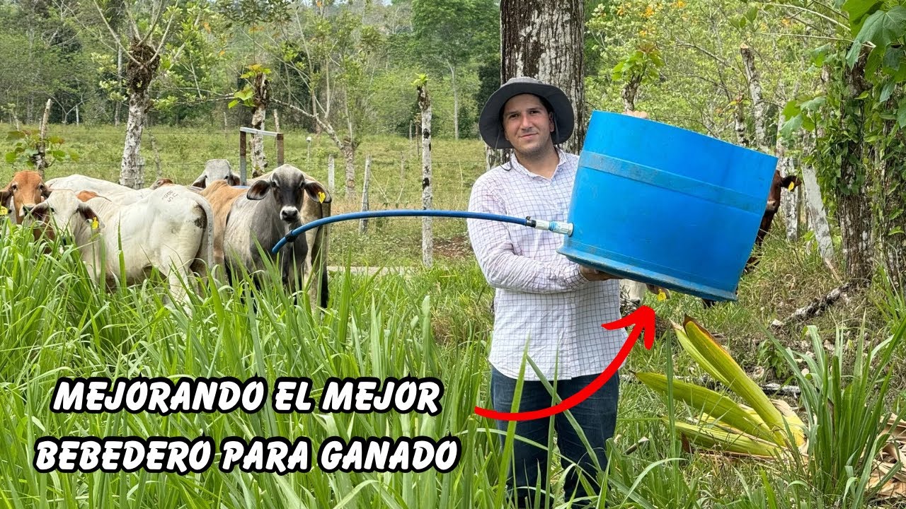 Actualización al mejor bebedero para ganado