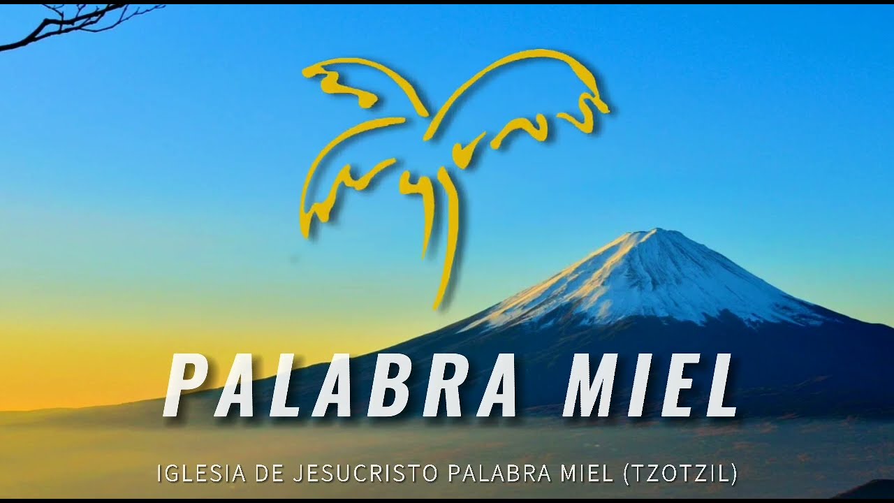 Oh Jesus Oh Jesus - (Alabanza) #12