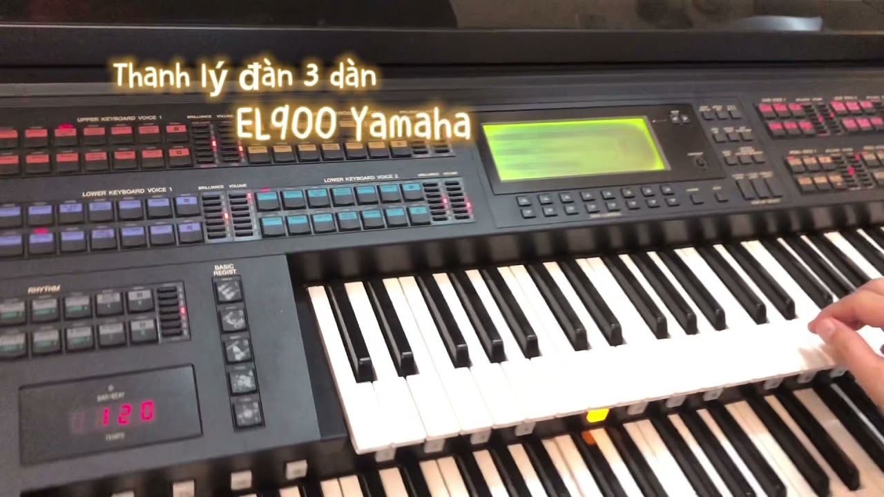 Thanh L&yacute; đ&agrave;n Yamaha EL900-My Heart Will Go On