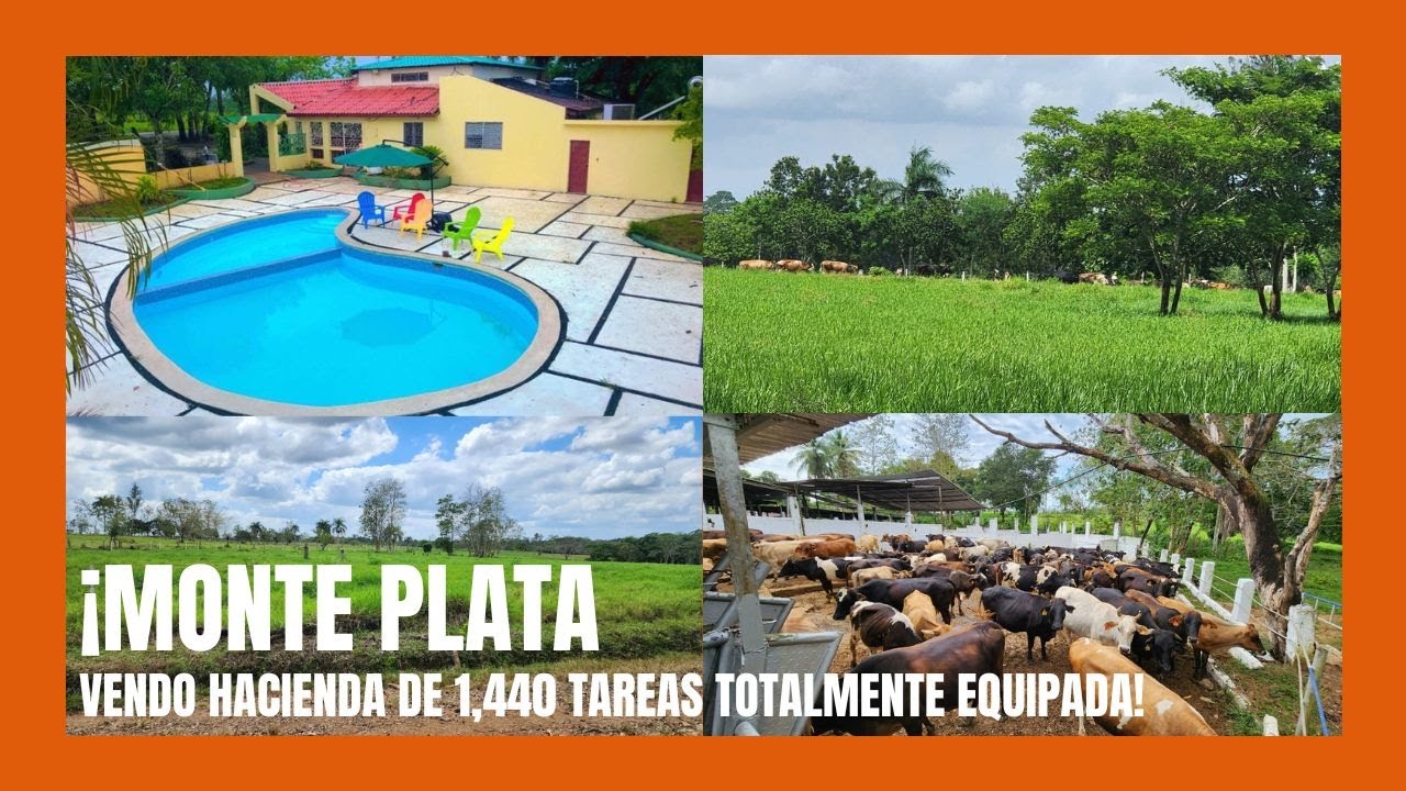 Hacienda de 1,440 tareas Totalmente equipada con Casa campestre Moderna Piscina y Ganado incluido