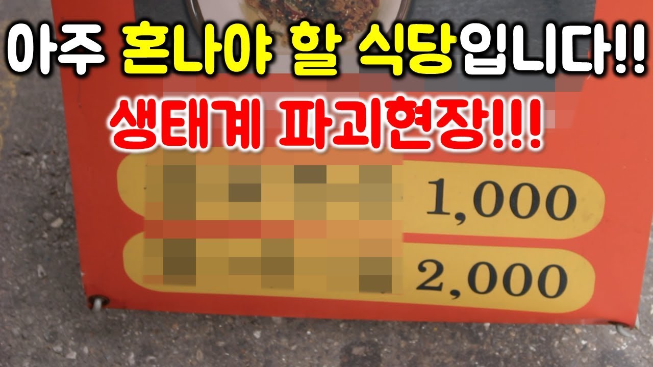 진짜 아주~혼나야 할 식당입니다!! 너무 싼거 아냐?? 생태계파괴현장!! [tangsuyuk mukbang]