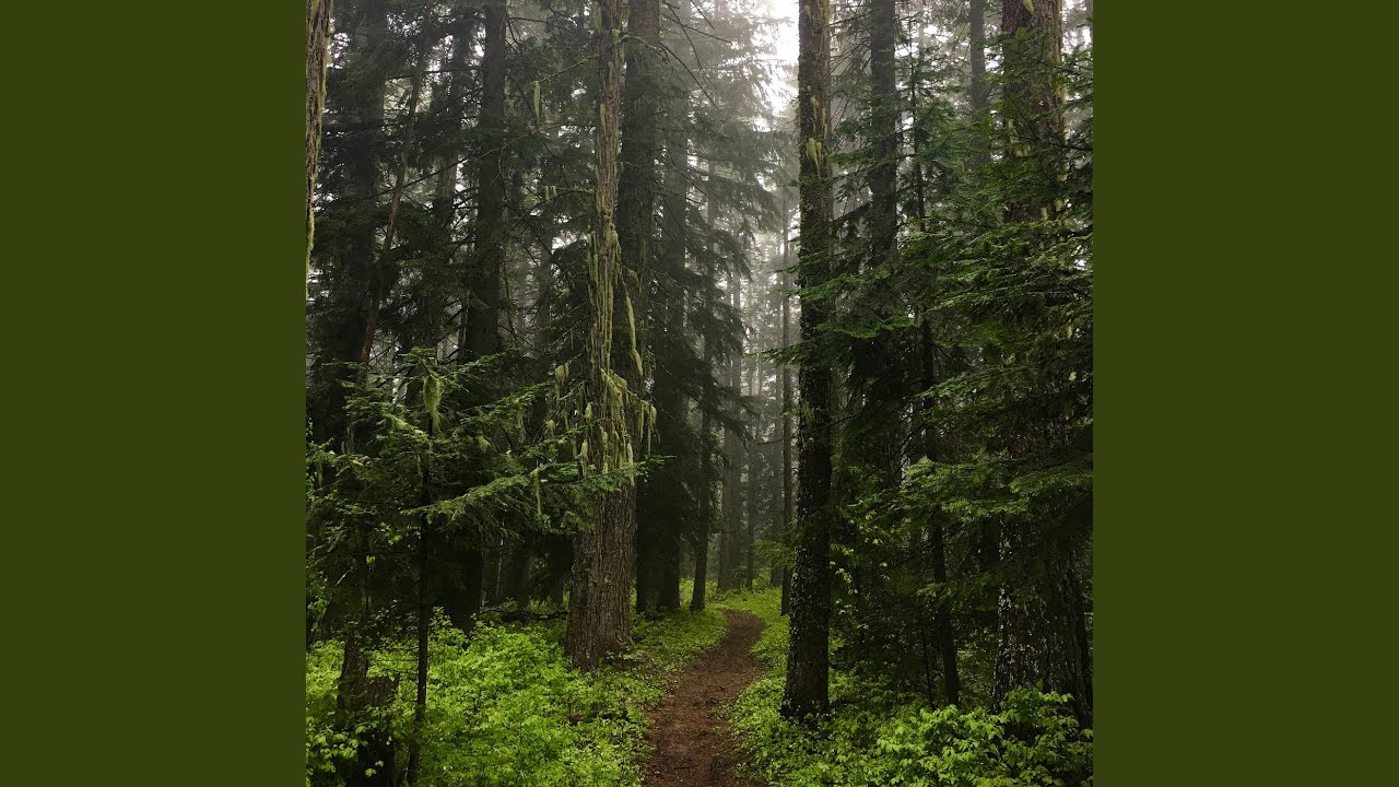 Intuitive Path