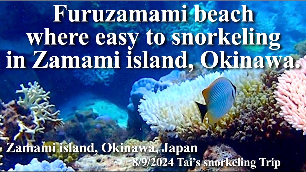 【#109 Tai’s Snorkeling Journey 】You can enjoy corals easily in Furuzamami beach, Zamami island.