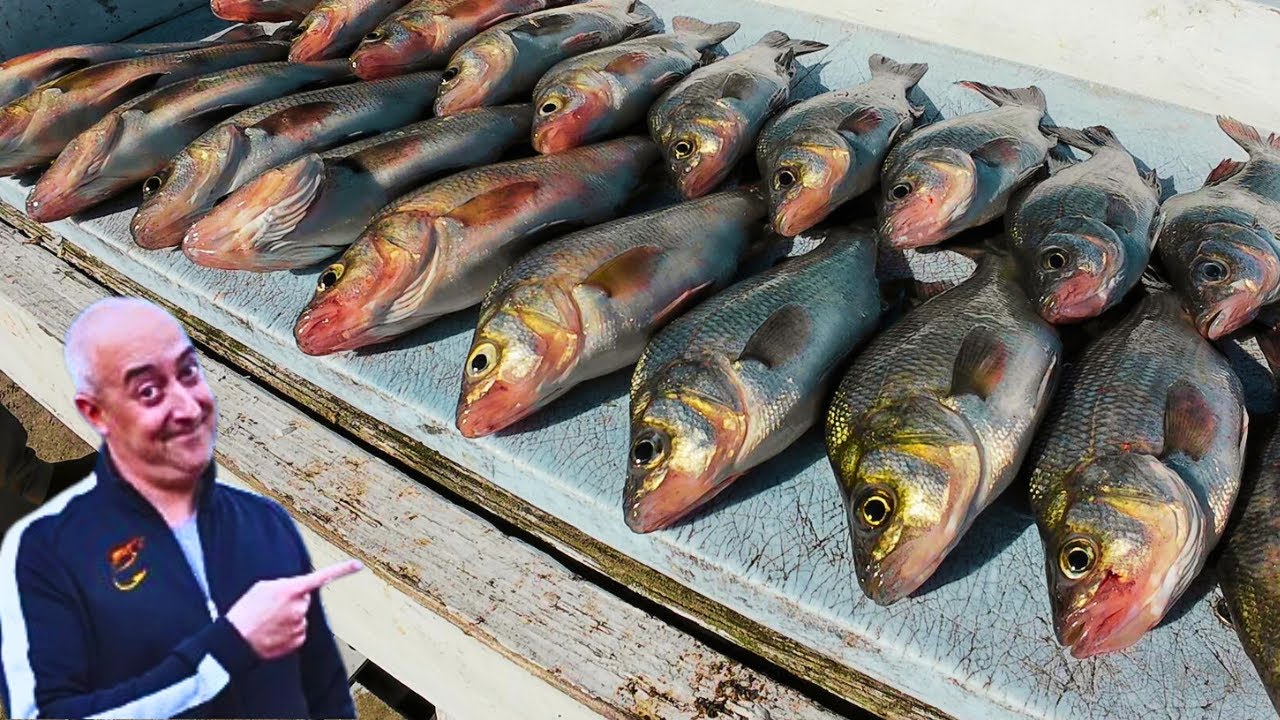 Secret White Perch Fishing Tips You Need In 8 Minutes!